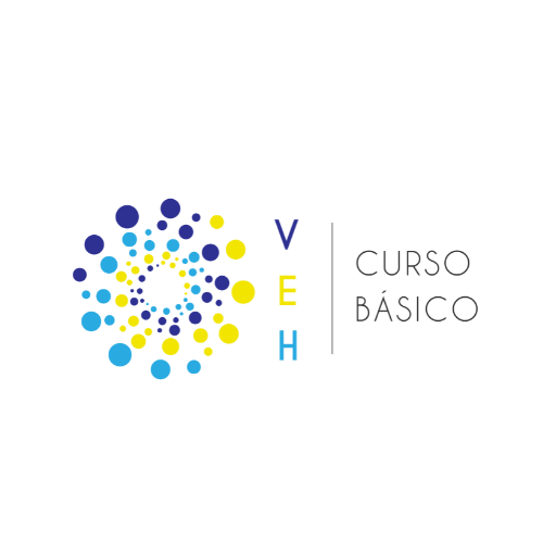 Curso Básico de Vigilância Epidemiológica Hospitalar no âmbito da Renaveh